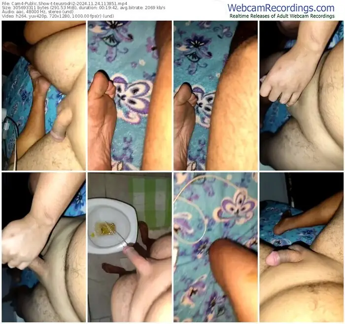 2024/11/24/cam4-teusrodri2-11-38-51