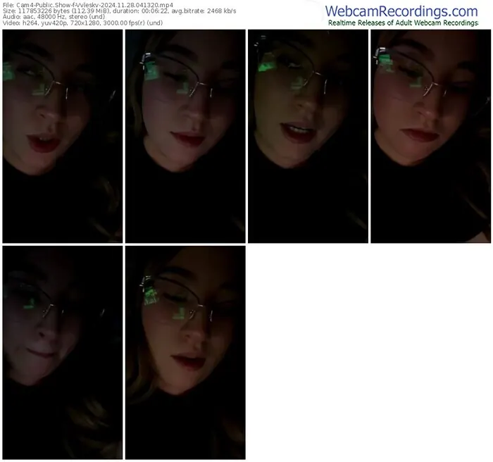 2024/11/28/cam4-vvleskv-04-13-20