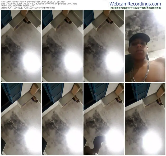 2024/11/28/cam4-lemenelli666-04-13-54