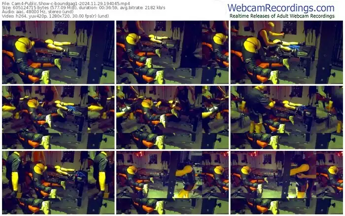 2024/11/29/cam4-boundgag1-19-40-45