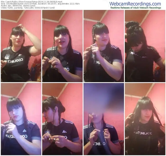 2024/11/29/cam4-nooocllama-04-09-19
