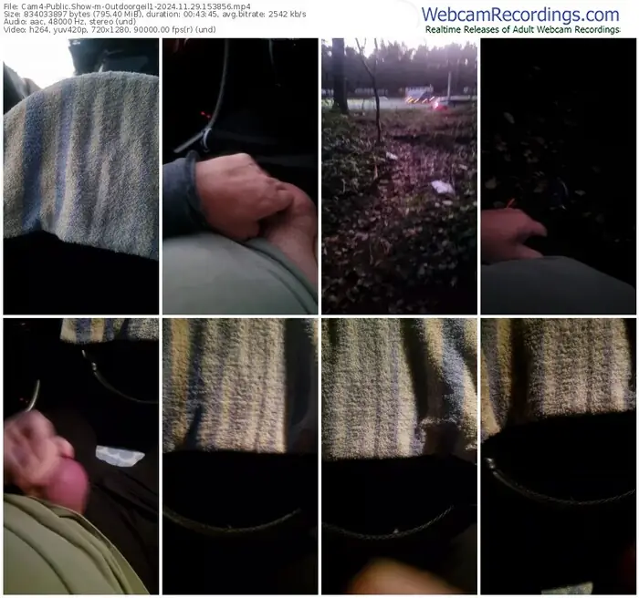 2024/11/29/cam4-outdoorgeil1-15-38-56