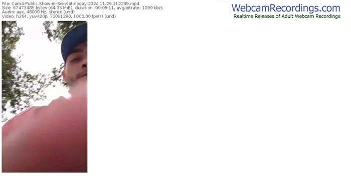 2024/11/29/cam4-sexylatinogay-11-22-39