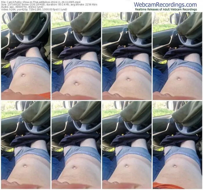 2024/11/29/cam4-thelastbebos-11-43-05