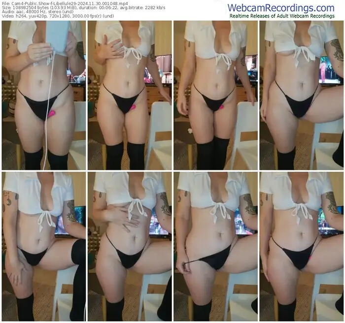 2024/11/30/cam4-libellule29-00-10-48