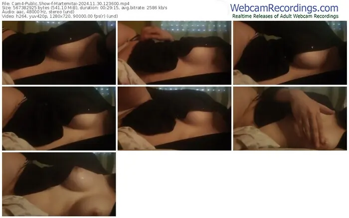 2024/11/30/cam4-martemitai-12-36-00