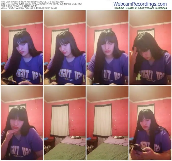 2024/11/30/cam4-nooocllama-03-33-50