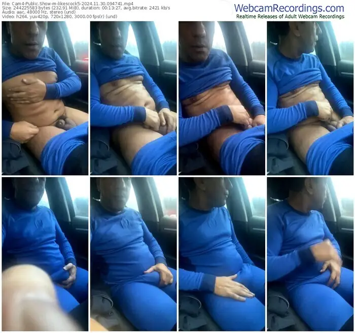 2024/11/30/cam4-likescock5-09-47-41