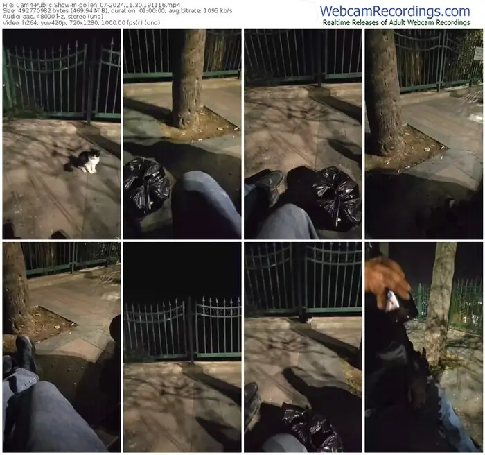 2024/11/30/cam4-pollen_07-19-11-16