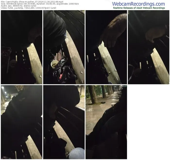 2024/11/30/cam4-pollen_07-20-11-48