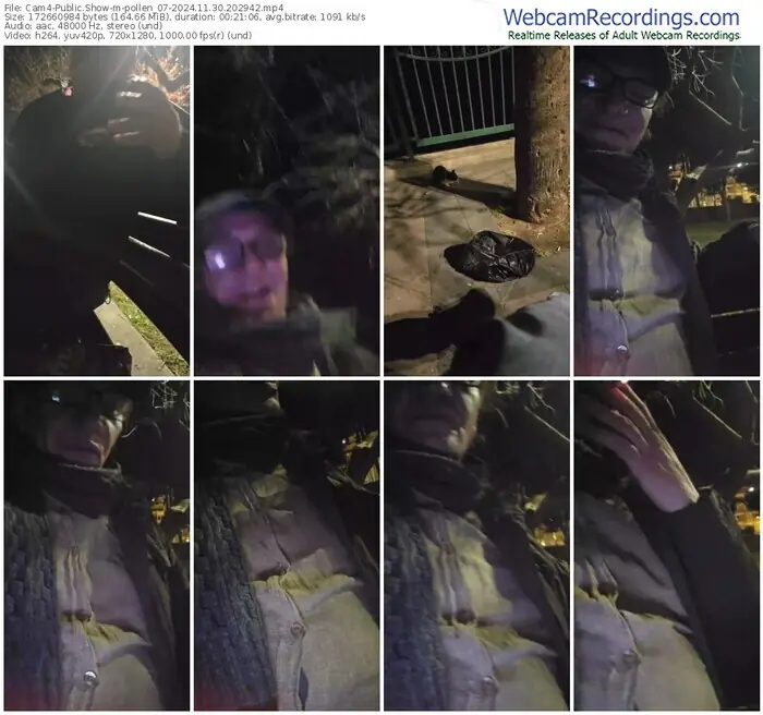 2024/11/30/cam4-pollen_07-20-29-42