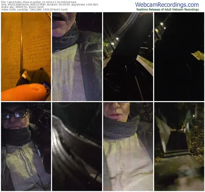 2024/11/30/cam4-pollen_07-20-52-18