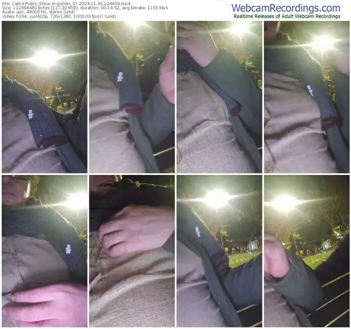 2024/11/30/cam4-pollen_07-22-44-59