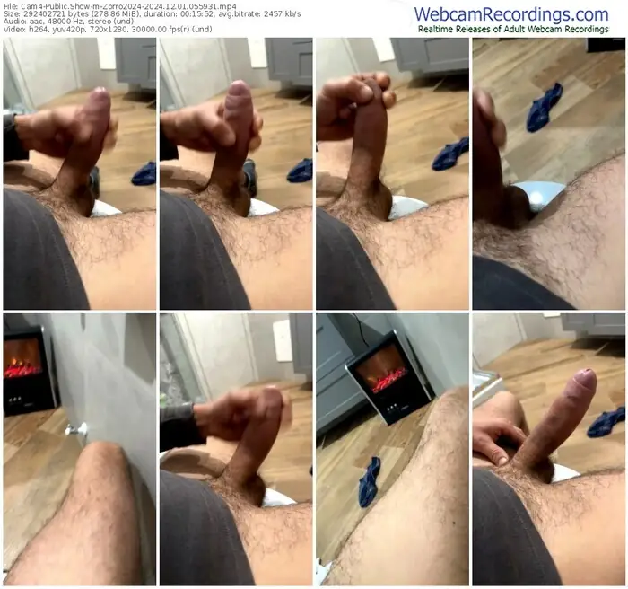 2024/12/01/cam4-zorro2024-05-59-31