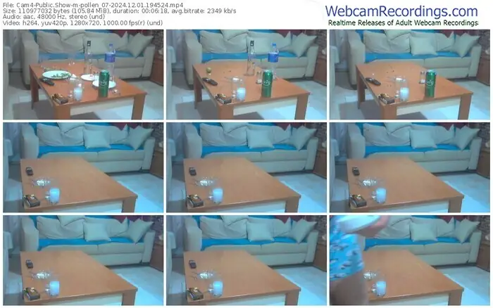 2024/12/01/cam4-pollen_07-19-45-24