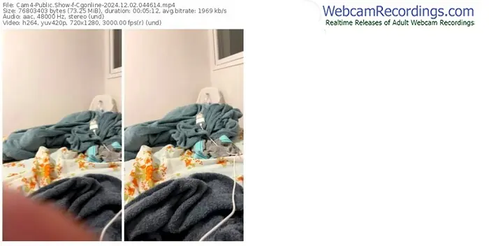 2024/12/02/cam4-cgonline-04-46-14