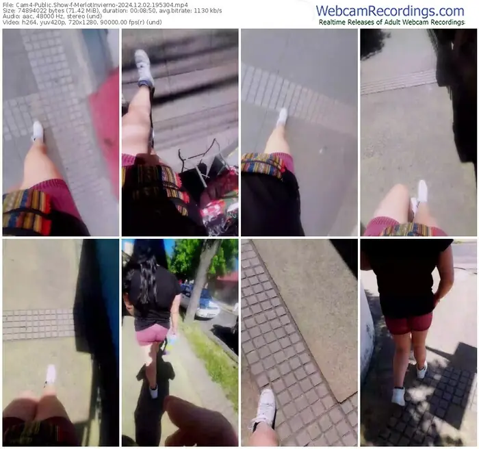 2024/12/02/cam4-merlotinvierno-19-53-04