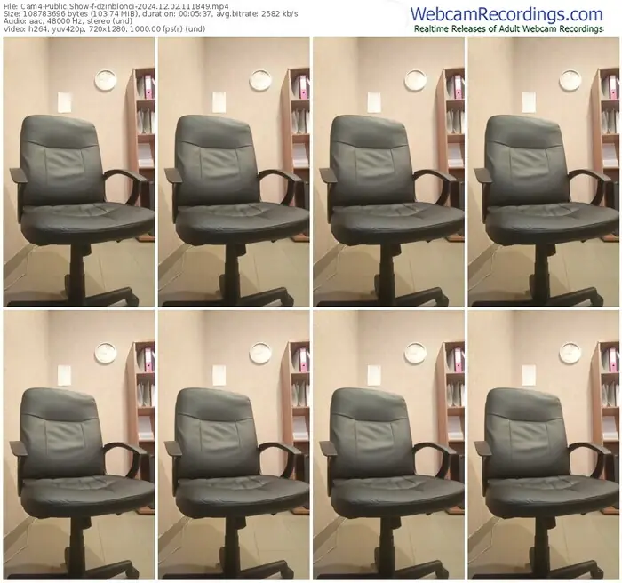 2024/12/02/cam4-dzinblondi-11-18-49