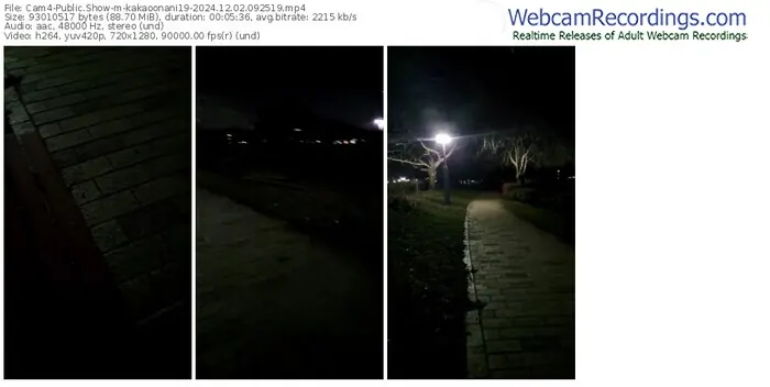 2024/12/02/cam4-kakaoonani19-09-25-19