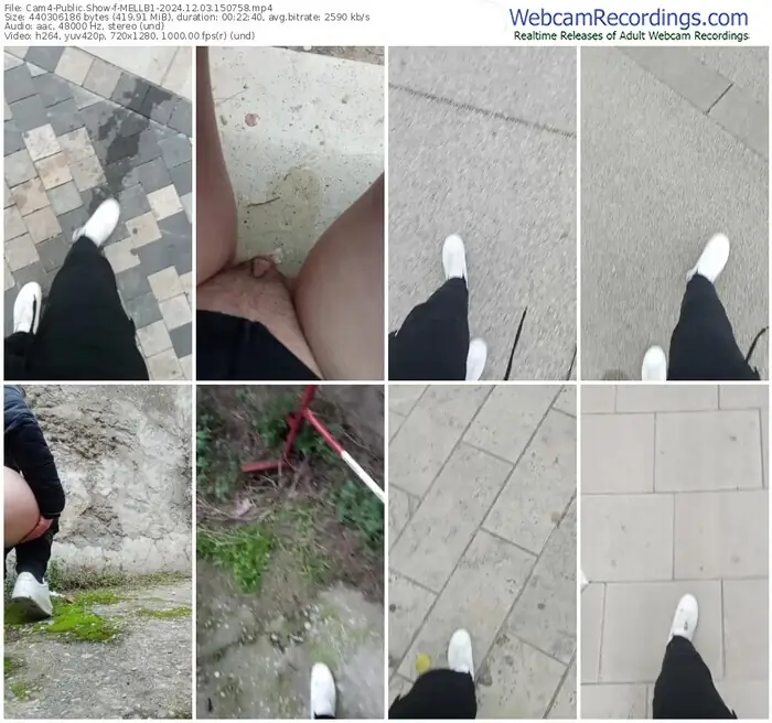 2024/12/03/cam4-mellb1-15-07-58