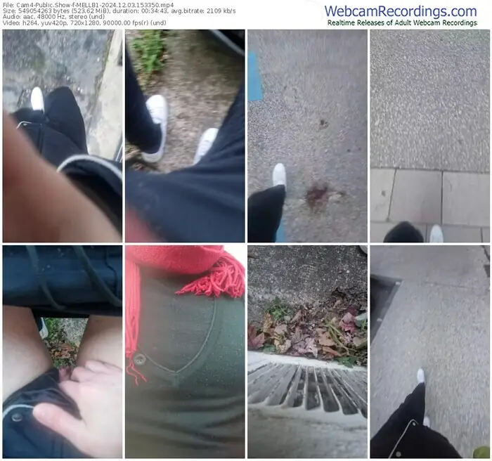 2024/12/03/cam4-mellb1-15-33-50