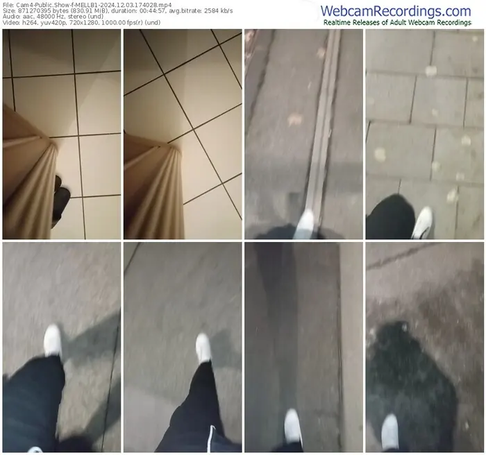 2024/12/03/cam4-mellb1-17-40-28