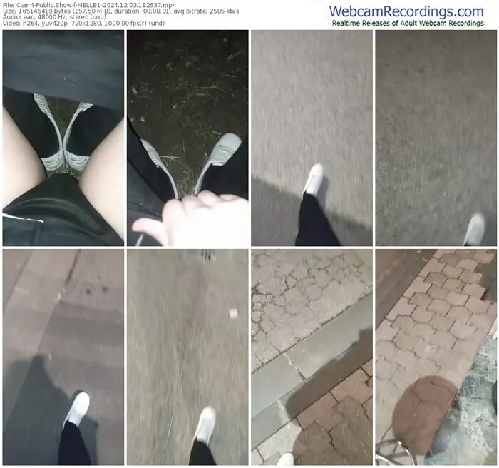 2024/12/03/cam4-mellb1-18-26-37