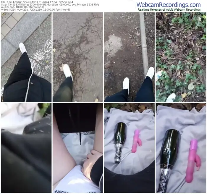 2024/12/04/cam4-mellb1-13-35-56