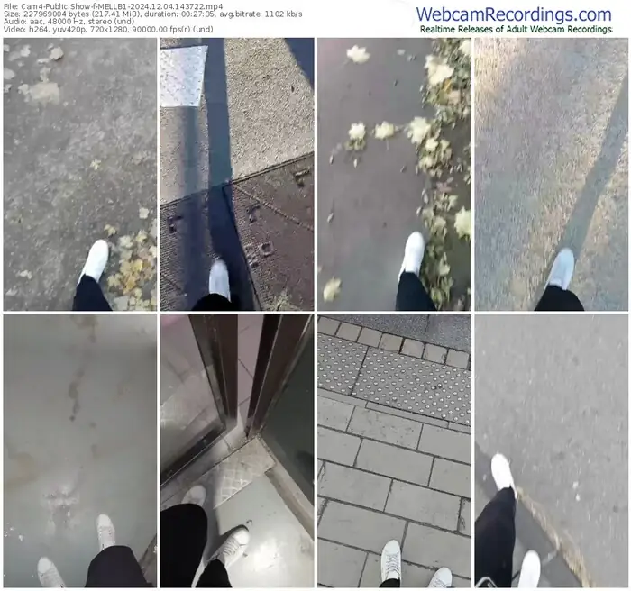 2024/12/04/cam4-mellb1-14-37-22