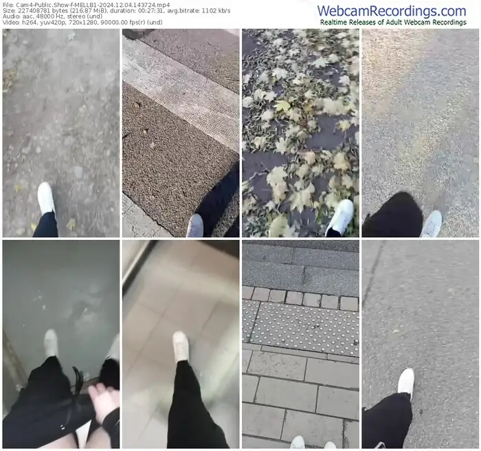 2024/12/04/cam4-mellb1-14-37-24