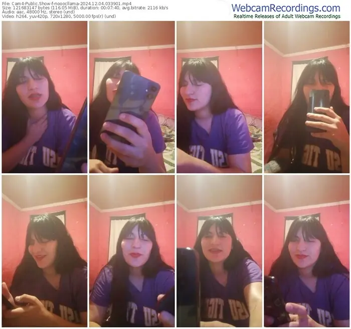 2024/12/04/cam4-nooocllama-03-39-01