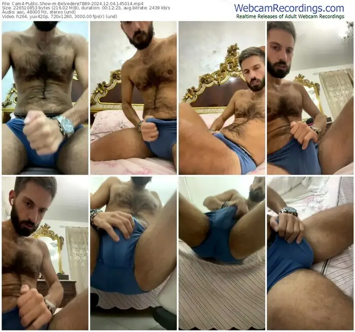 2024/12/04/cam4-belvedere7889-14-50-14