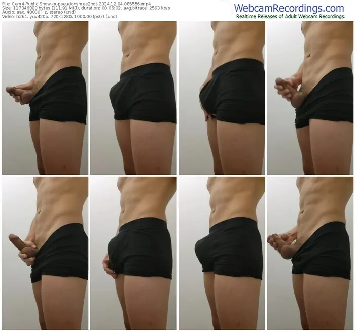 2024/12/04/cam4-pseudonymee2hot-08-55-56