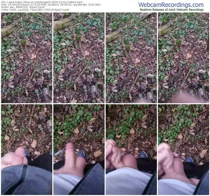 2024/12/05/cam4-outdoorgeil1-14-48-04