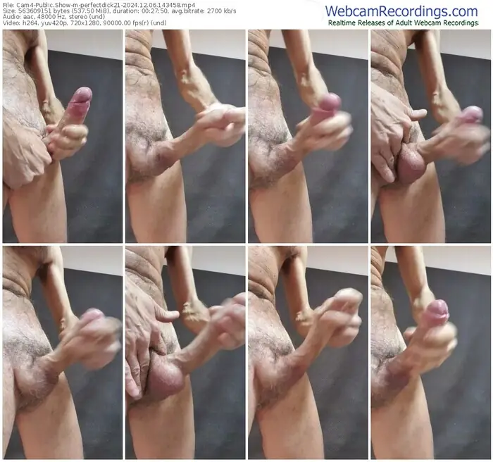 2024/12/06/cam4-perfectdick21-14-34-58