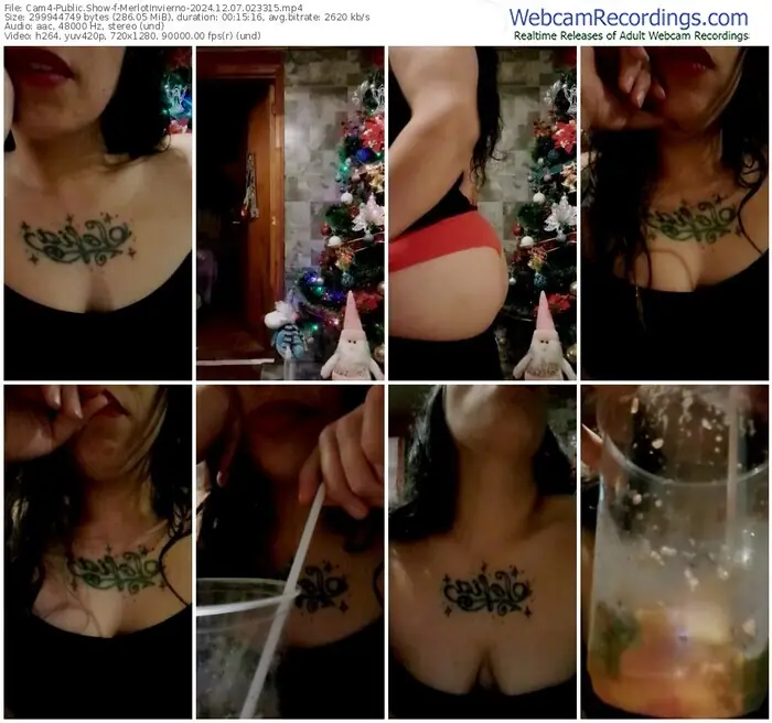 2024/12/07/cam4-merlotinvierno-02-33-15