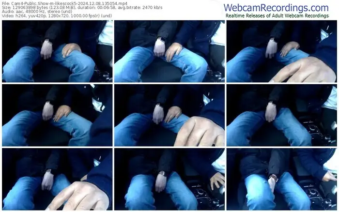 2024/12/08/cam4-likescock5-13-50-54