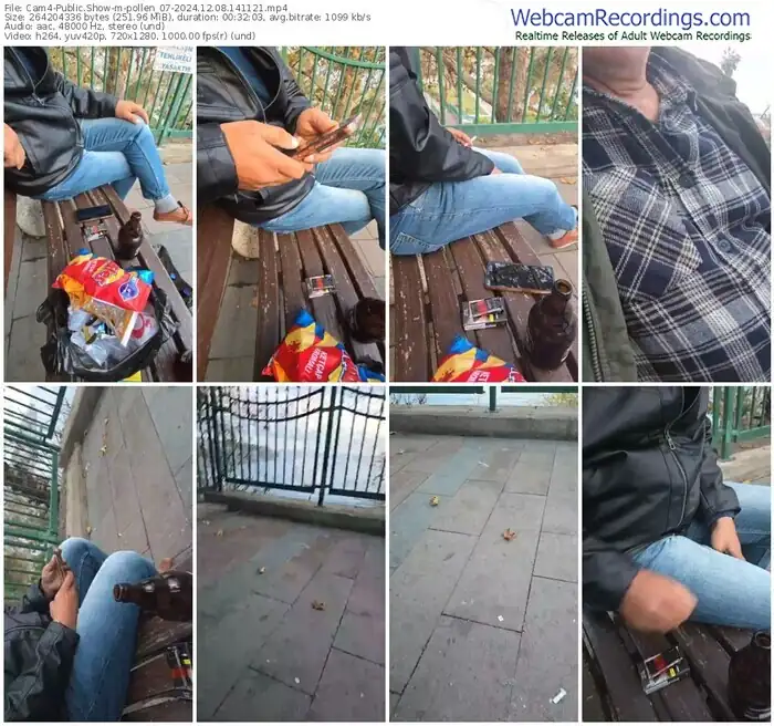 2024/12/08/cam4-pollen_07-14-11-21