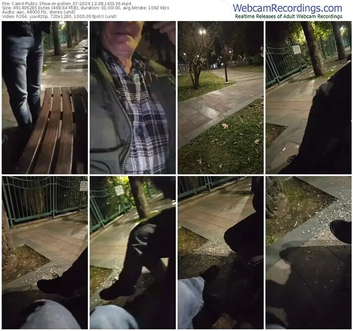 2024/12/08/cam4-pollen_07-16-01-36