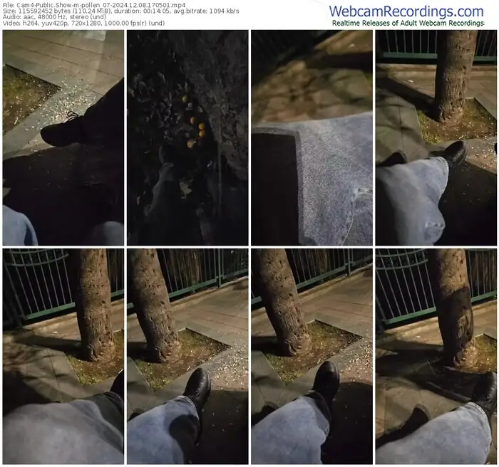 2024/12/08/cam4-pollen_07-17-05-01