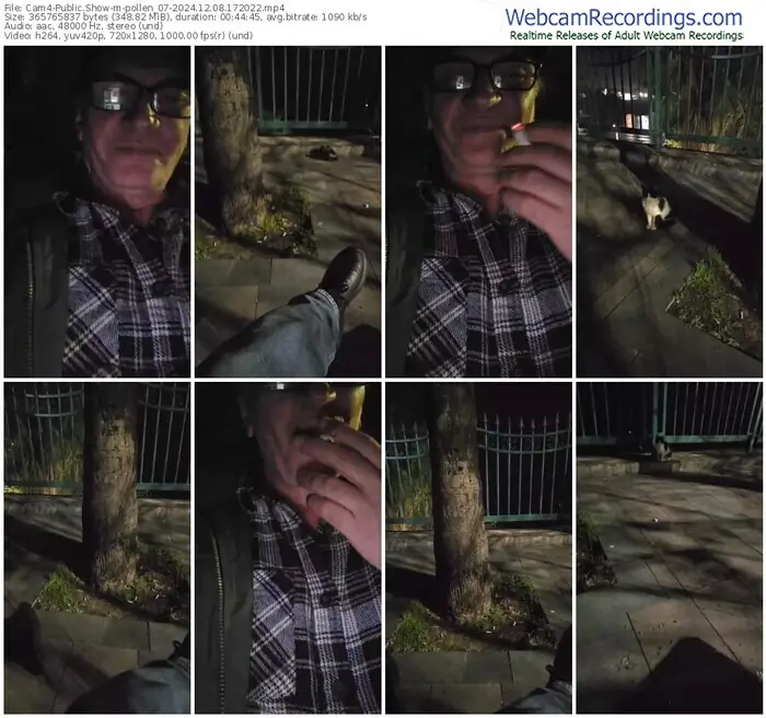 2024/12/08/cam4-pollen_07-17-20-22