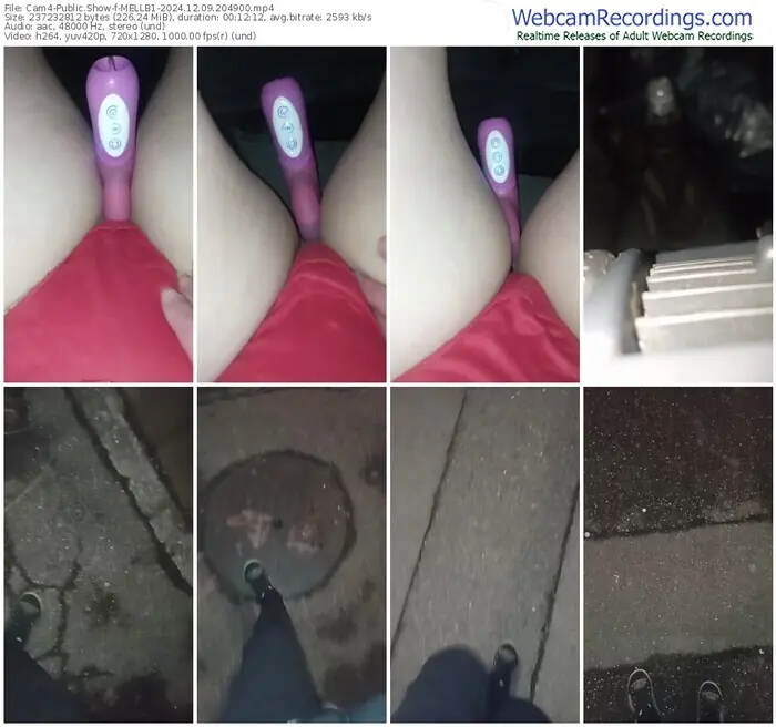 2024/12/09/cam4-mellb1-20-49-00