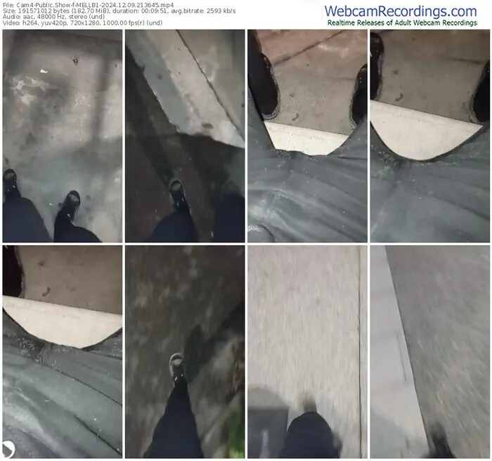 2024/12/09/cam4-mellb1-21-36-45