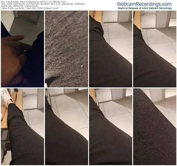 2024/12/10/cam4-gatinhazss-18-55-41