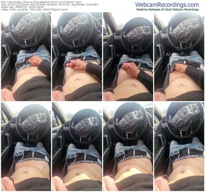 2024/12/10/cam4-thelastbebos-09-19-27