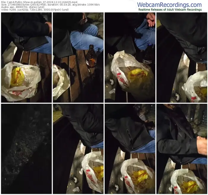 2024/12/10/cam4-pollen_07-16-44-35