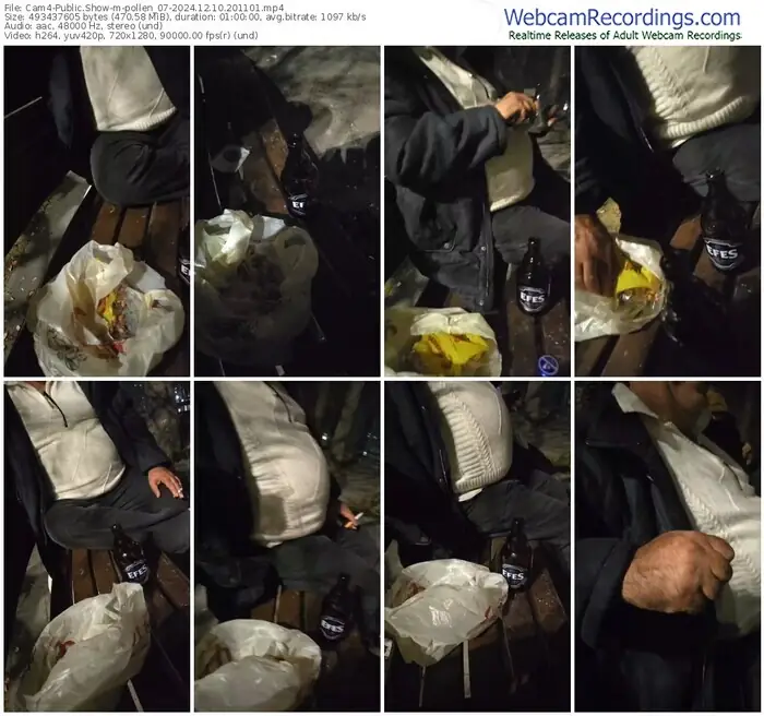 2024/12/10/cam4-pollen_07-20-11-01