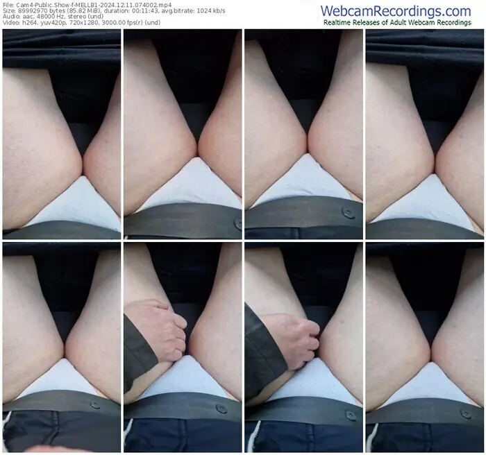 2024/12/11/cam4-mellb1-07-40-02