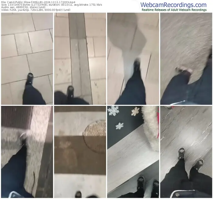2024/12/11/cam4-mellb1-17-22-03