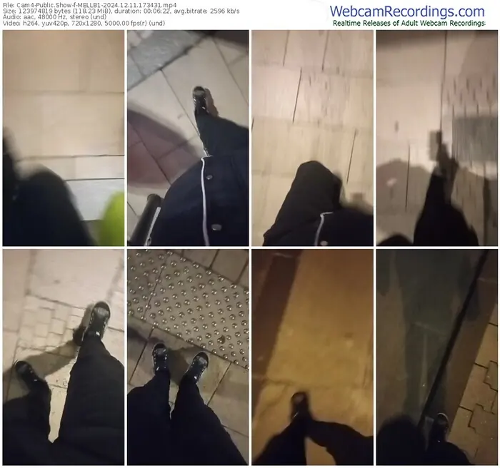 2024/12/11/cam4-mellb1-17-34-31